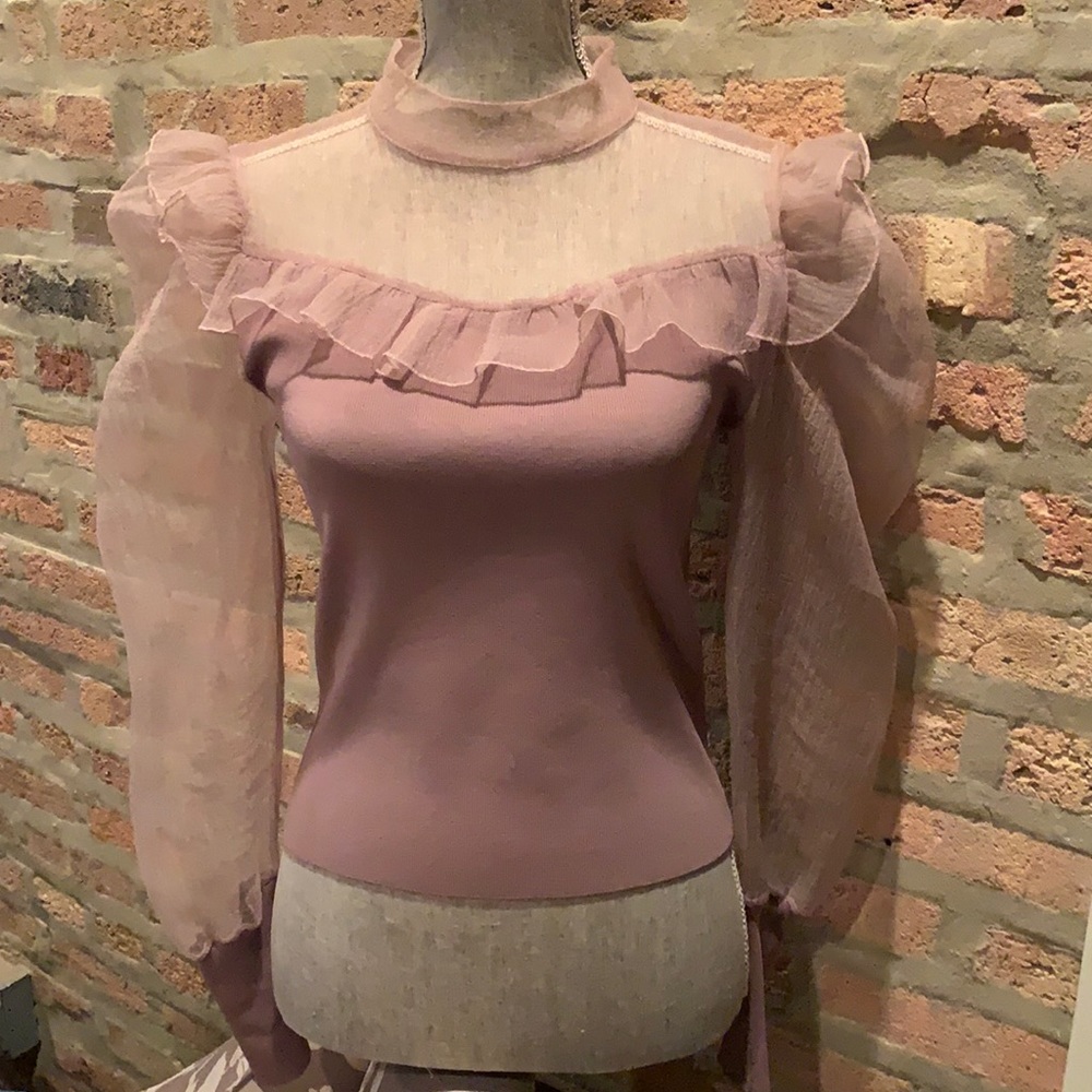 Zara Mauve Long Sleeve Tulle Top w/ Ruffles Sz Medium